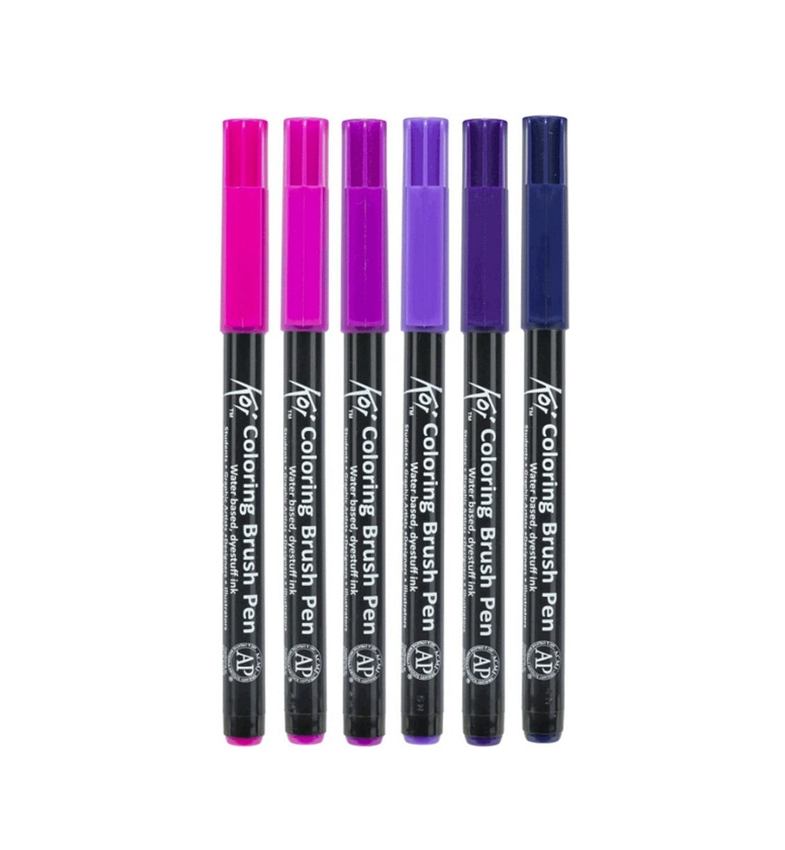 Sakura Set 6 Carioci Tip Pensula Sakura Koi Color Brush, Culori Galaxy