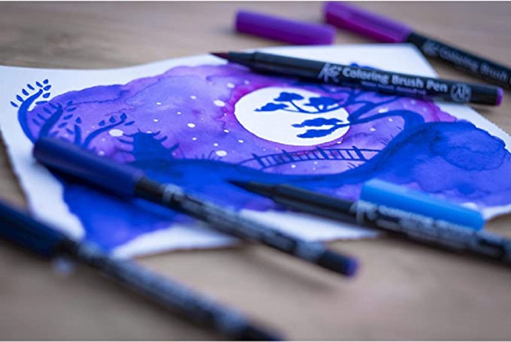 Sakura Set 6 Carioci Tip Pensula Sakura Koi Color Brush, Culori Galaxy