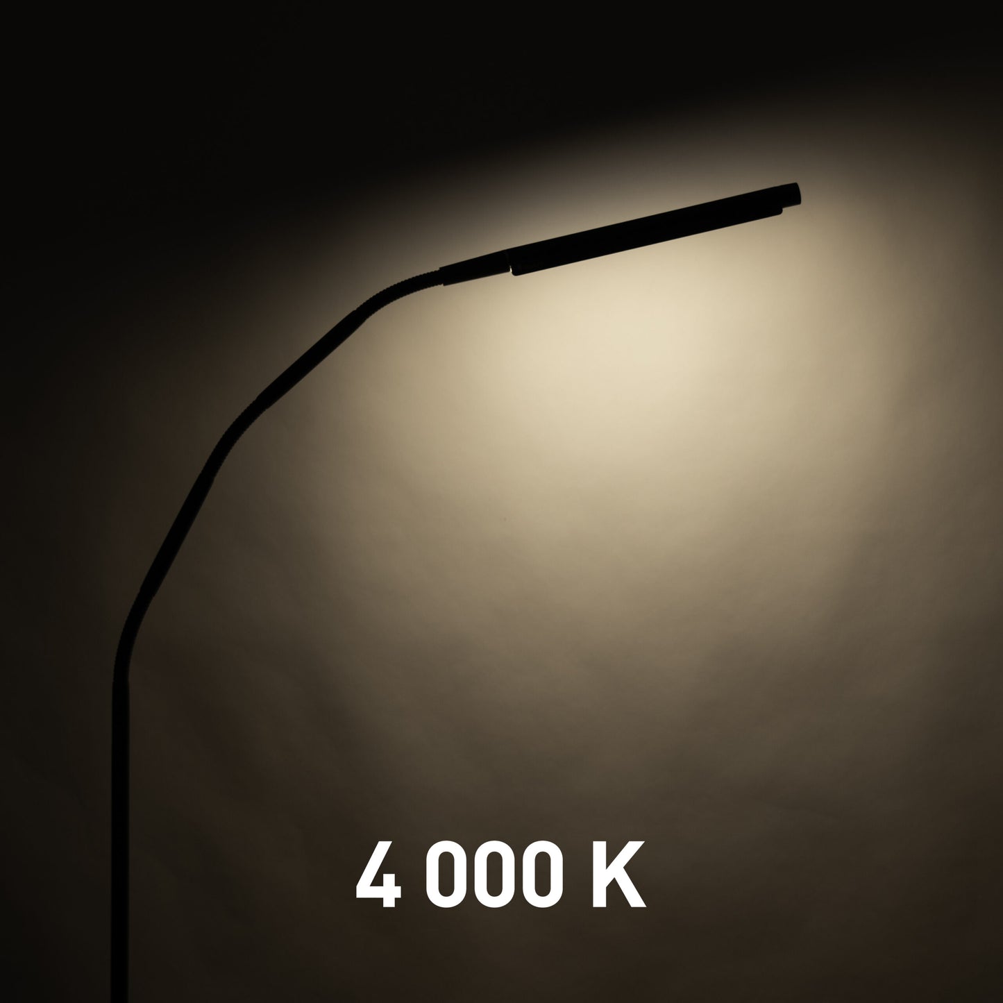 Lampă Podea Electra Daylight
