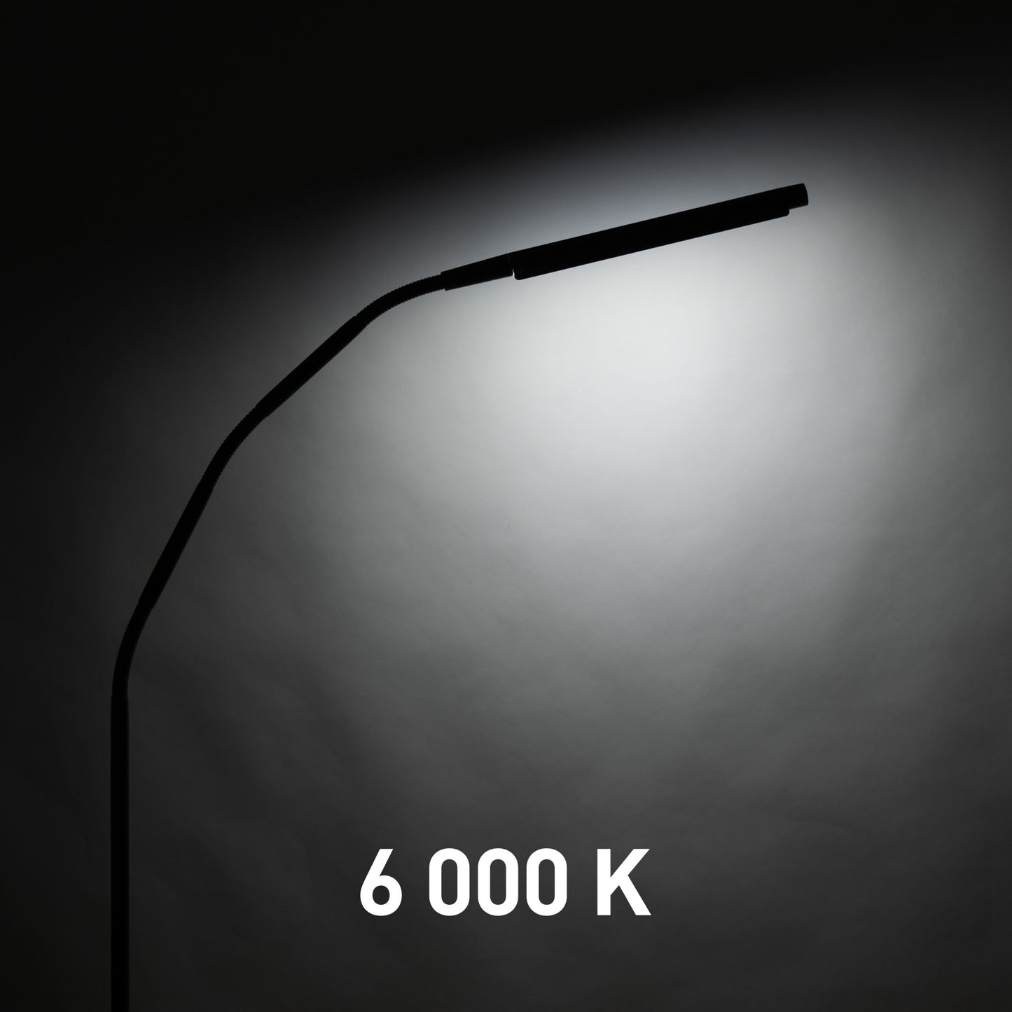 Lampă Podea Electra Daylight