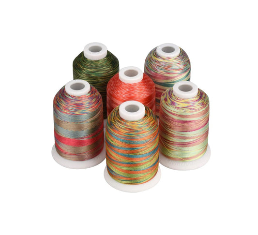 Set Ață De Brodat 6 Bobine - 1000 m, Culori Variegated